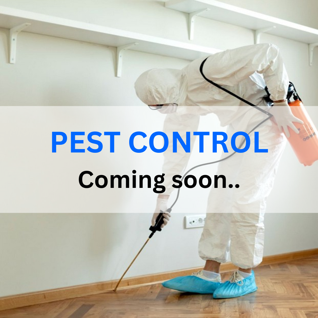 Pest Control cleaning